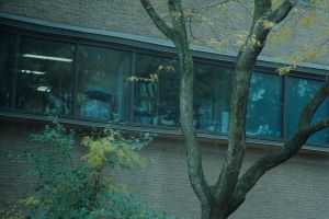 Idées | Donnons-nous tous les moyens de mieux soigner les troubles mentaux graves