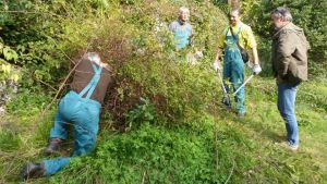 Verde e giardini, Treviso seconda in Veneto: 404 imprese artigiane e 55 milioni di mercato