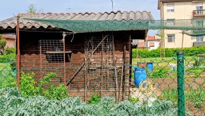 Mestre, orti sociali nel degrado: anziani pronti a fare causa al Comune