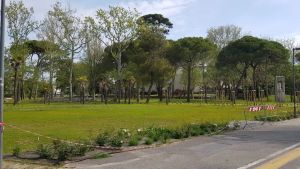 Ultimi pini da abbattere al Parco delle Rose di Grado: inaugurazione a maggio