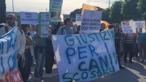 Dolore per i cani uccisi a Porto Recanati, lasciati 56 mazzetti di fiori: “Contro la violenza sugli animali”