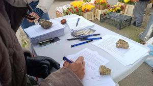 Jedina lista koja može doneti pobedu