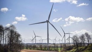 Danmark har lovet at give borgerne mulighed for at påvirke beslutninger, før de reelt er truffet