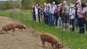 Enge Verbundenheit mit dem Campus Galli