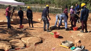 Differenze territoriali e procedure lente: cosa non funziona nel decreto Flussi