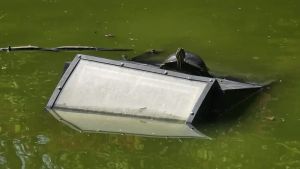 Vandali scatenati a Mestre: cestini divelti e gettati nei canali, danni per 10mila euro