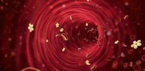 El papel oculto de la insulina en el riesgo de cáncer