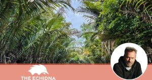 When the loop is useless, it's best to stay out of it