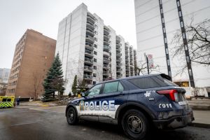 Féminicides : des solutions existent