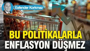 BU POLİTİKALARLA ENFLASYON DÜŞMEZ