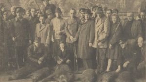 Op de vlucht voor de geallieerden vallen duizenden wilde zwijnen Limburg en Gelderland binnen