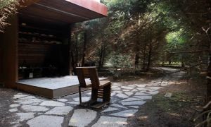 Namesto zelene oaze kupi smeti