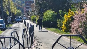 Viale della Repubblica: 