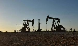 Directorate General of Petroleum Concessions flags FHL document misuse