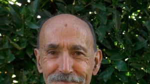 Reino de León: el adelantado de Europa