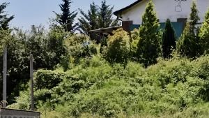 Ucciso in casa a sprangate: 