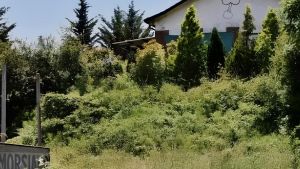 Uccise il vicino a sprangate. Ora vuole risarcire i parenti. Loro: 