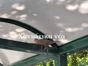 Καταφύγιο στη στάση!
