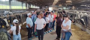 Quando as portas das vacarias se abrem, a confiança cresce