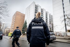 Pour sauver celles qui sont encore en vie