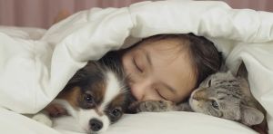 Chiens, chats et santé mentale : à quel point les Français sont‑ils attachés à leurs animaux de compagnie ?