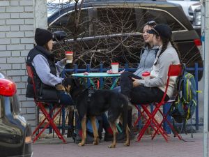 Lorne Gunter: Sky-high patio licence fees conflict with revitalization This year they want several thousand per restaurant for the same licences and are planning on doubling that amount next summer.