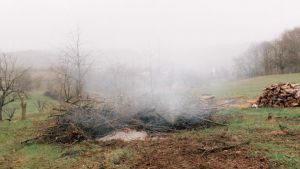 Unterwegs an vertrauten Orten im Schwarzwald: Sehenswerte Schau von Steve Luxembourg in Müllheim