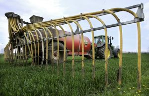 Næstformand reager på debatindlæg: - Gylle er ikke gift