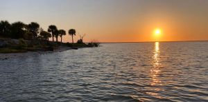 Hurricanes devastated Florida’s East Coast – then seagrass made an unexpected comeback