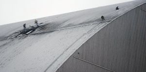 Research at Chernobyl and Fukushima shows how radioactive materials move in the environment