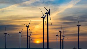 Energiewende boomt weltweit: Merz kann sich seinen Rückwärtskurs nicht mehr leisten