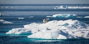 Corporate capture of the Global Ocean Treaty puts ocean protection at risk