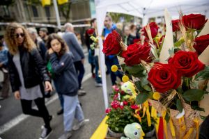 L’autoodi contra Sant Jordi
