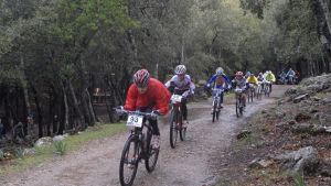 Ciclistes: un turisme diferent