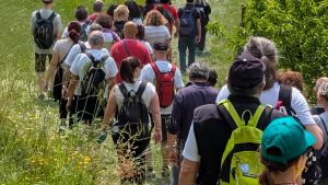 Sedici chilometri dentro la natura. La Magnalonga fa il tutto esaurito