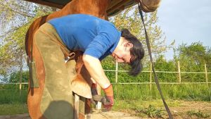 Lucia, l’artigiana che sussurra ai cavalli per limare gli zoccoli e preparare le selle