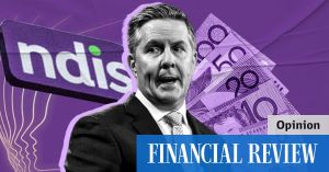 Butler cleans up the NDIS mess Labor created