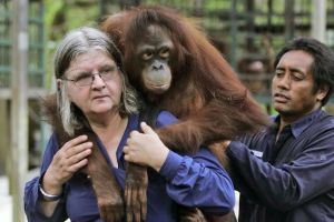 After the passing of Biruté Galdikas, primates need a next generation of protectors