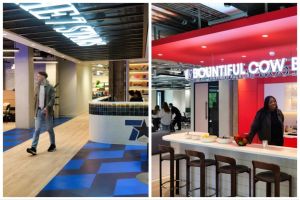 The7stars and Bountiful Cow set up shop under one roof