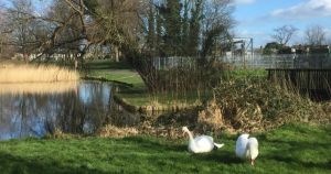 'Dangerous' motorbikes spotted being ridden in town park