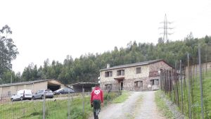 El criadero de perros intervenido en Gijón por la Guardia Civil amanece cerrado por 