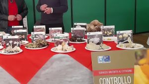 Micologi ASL all’Agrifiera di Pontasserchio: informazione e prevenzione sui funghi