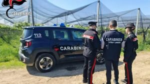 Lavoro irregolare, due ditte agricole sospese e cinque sanzionate in provincia di Pordenone