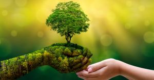 Beyond the Body: Notes on a Post-Biological Future