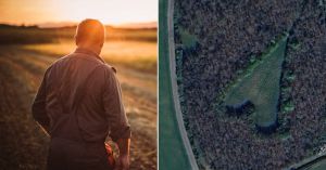 A hot air balloonist revealed man’s ‘secret’ forest he created as a tribute to his wife