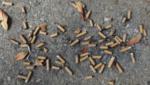 Cartas al director de HERALDO: Colillas por todas partes