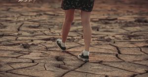 Suffering from Eco-Paralysis? Here's What You Can Do