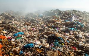 Turning waste into wealth