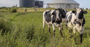 Sorry, but we can’t just recycle our slurry problem away