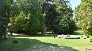 Parco Antonini-Maseri a Udine, ok ai lavori di recupero: apertura entro fine estate